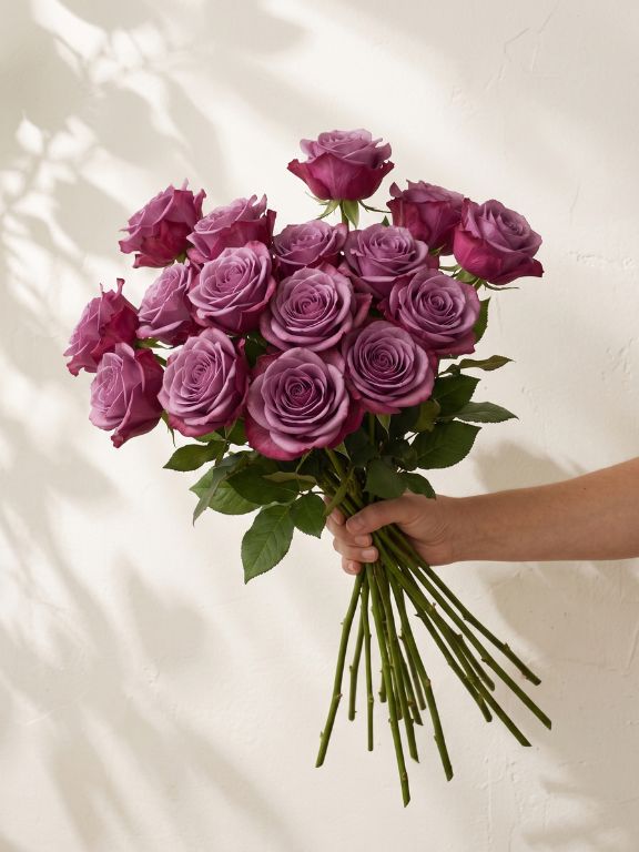 Wholesale Moody Blue Lavender Roses Delivered Online | FlowerFarm